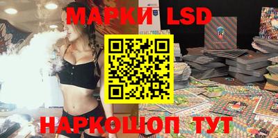 молекула духа Камышлов