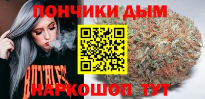 крисы Ирбит