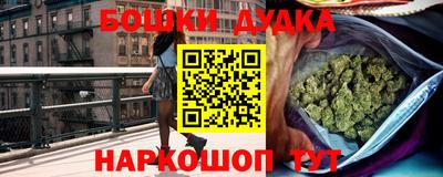 крисы Ирбит
