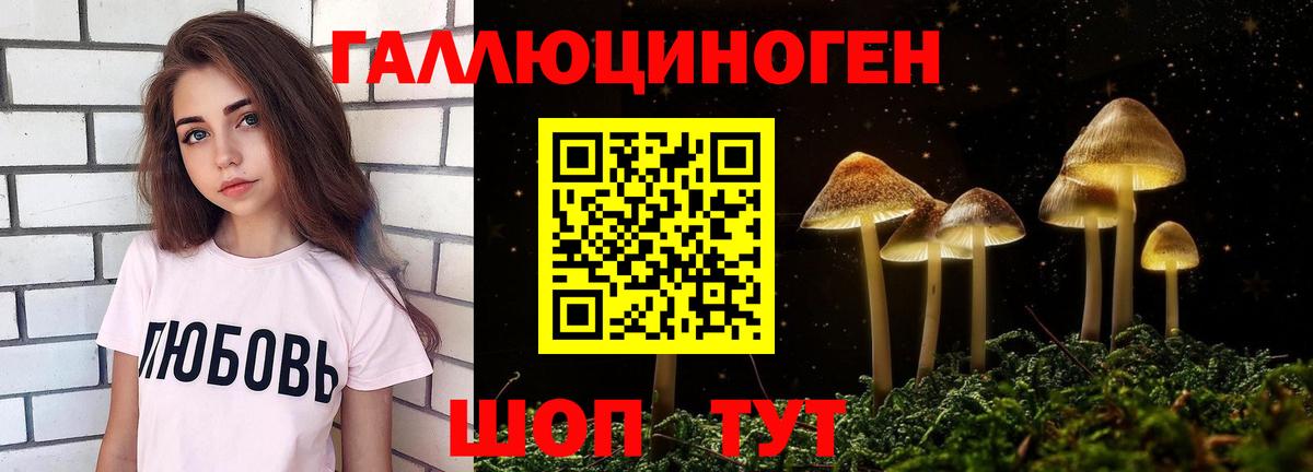 Кудрово  Псилоцибиновые грибы мицелий  Псилоцибиновые грибы прущие грибы  где купить наркотик  Вход с VPN 
